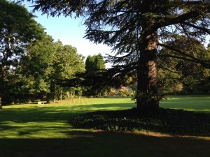 One of the gardens outside our room